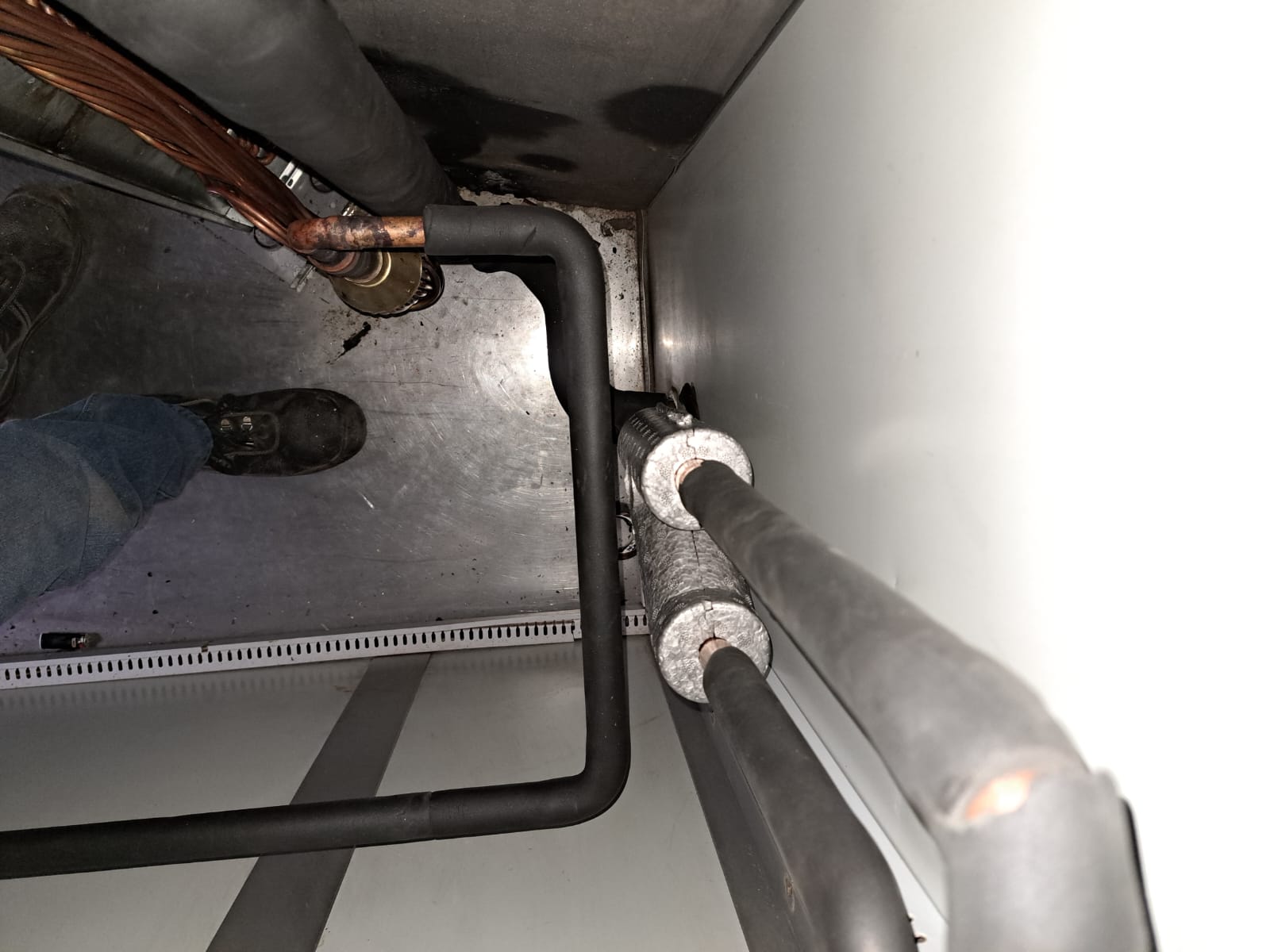 WhatsApp Image 2022-08-10 at 9.20.26 AM