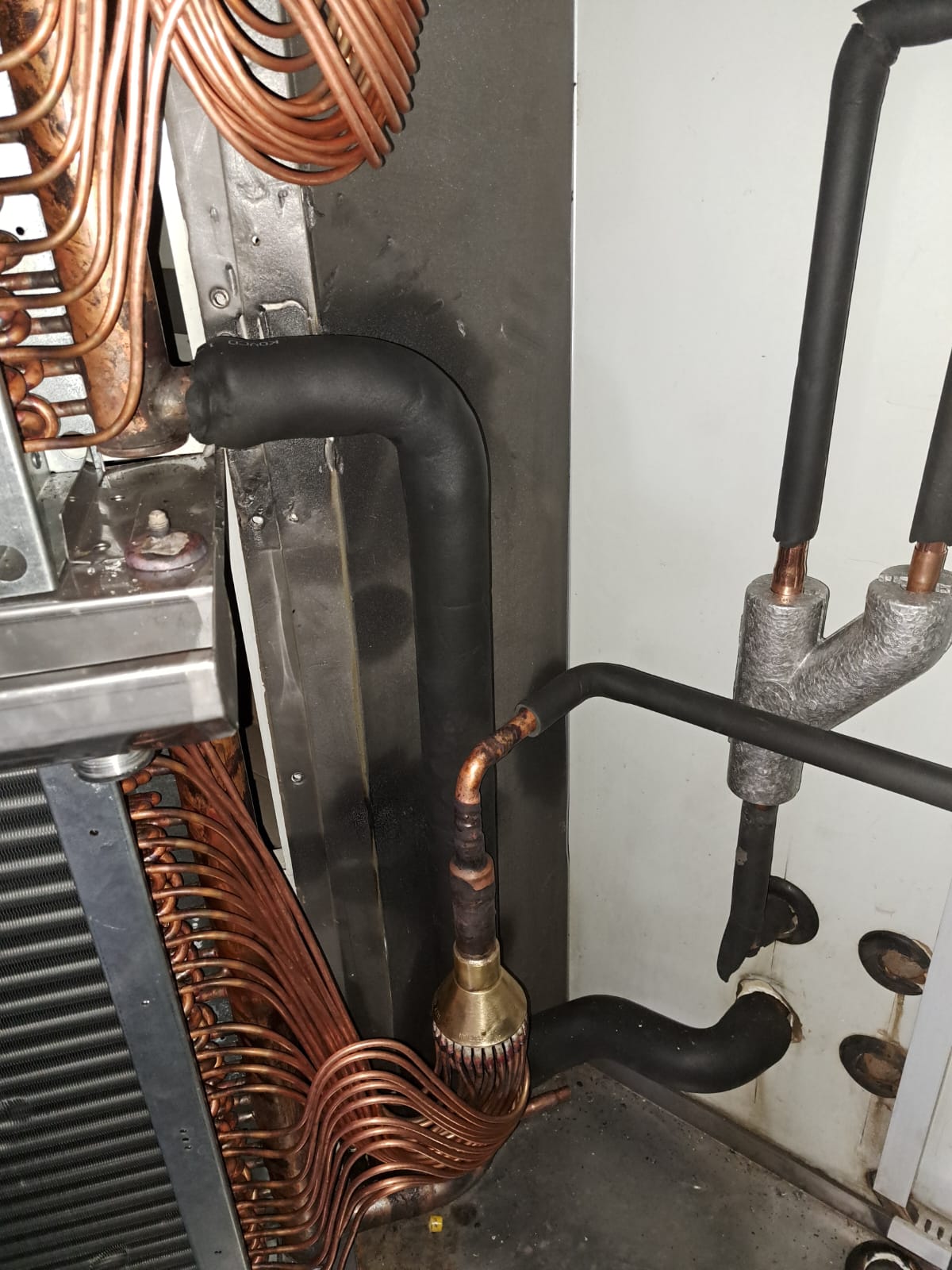 WhatsApp Image 2022-08-10 at 9.20.27 AM